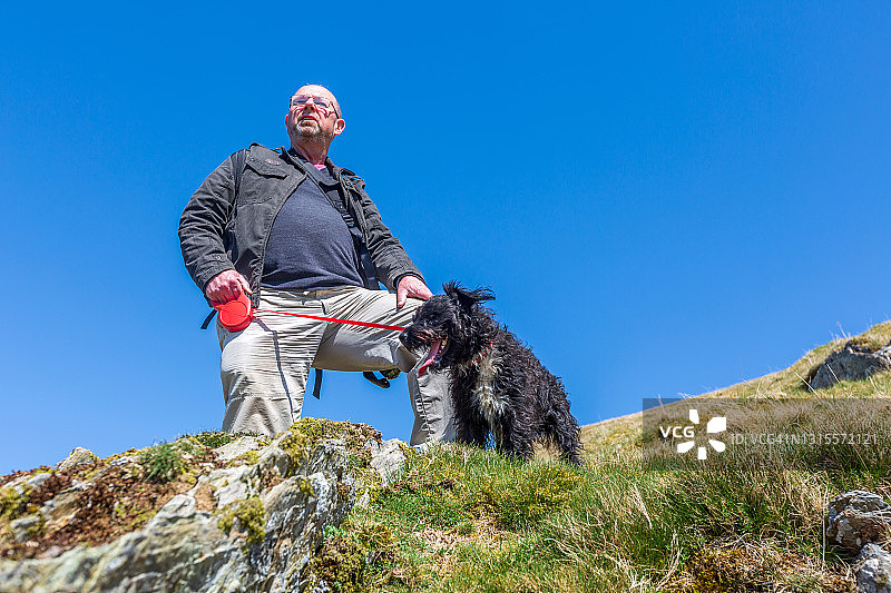 秃顶男人和宠物梗犬图片素材