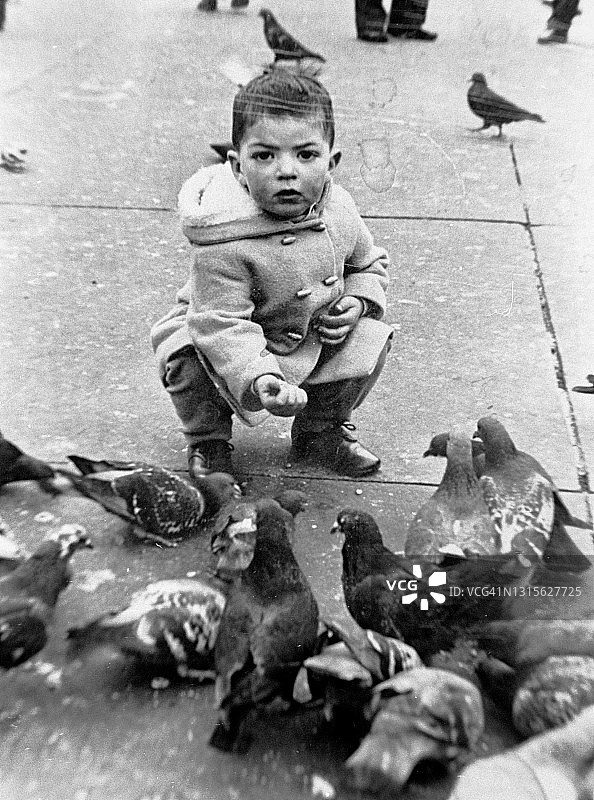 在英国伦敦特拉法加广场喂鸽子的小男孩（1960年代）图片素材