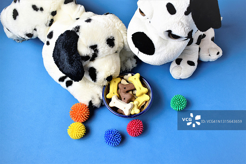 蓝色背景上的达尔马提亚玩具小狗和狗骨头图片素材