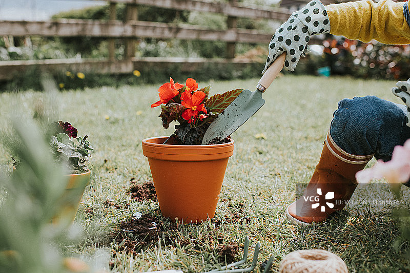 儿童在赤陶盆中种植花朵图片素材