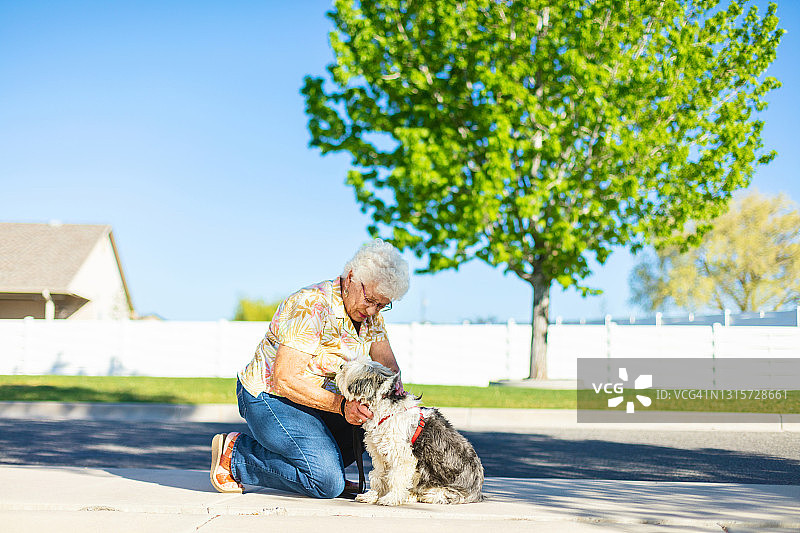 带着狗在户外散步的中年资深女摄影系列图片素材