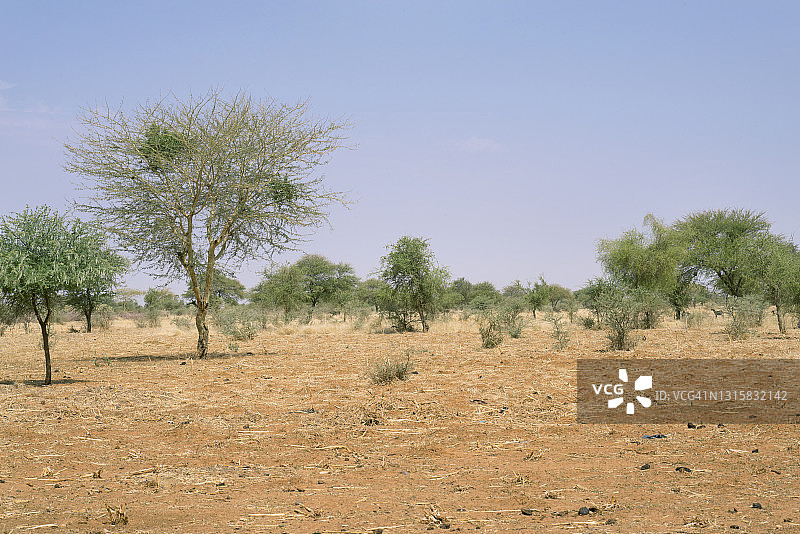 布基纳法索迷人的美丽自然景观。布基纳法索的萨赫勒地区。图片素材