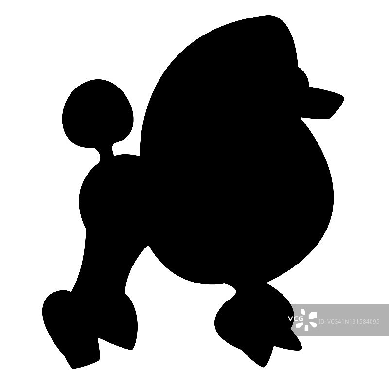 贵宾犬剪影图片素材