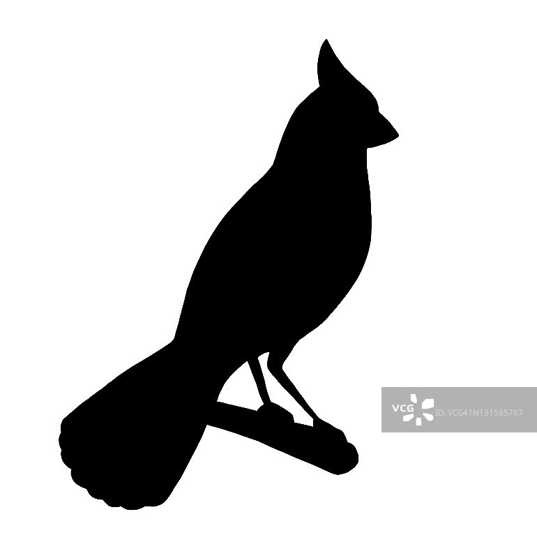 树枝上的小鸟图片素材