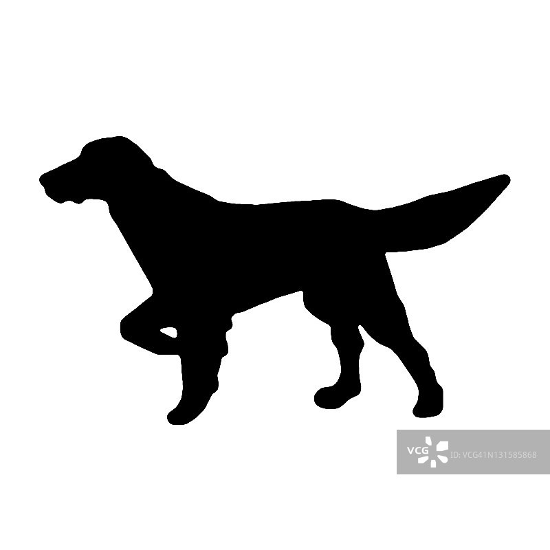 指示犬剪影图片素材