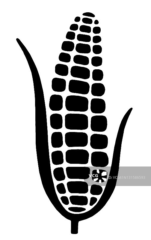 玉米芯图片素材