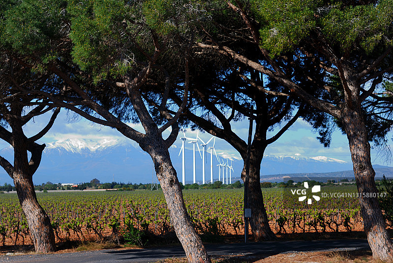 用于发电的风力发电场图片素材