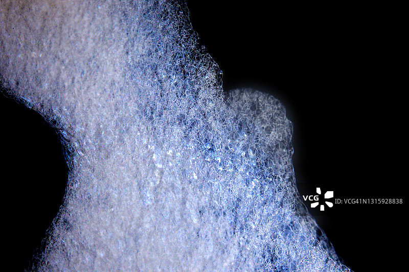 泡沫气泡图片素材