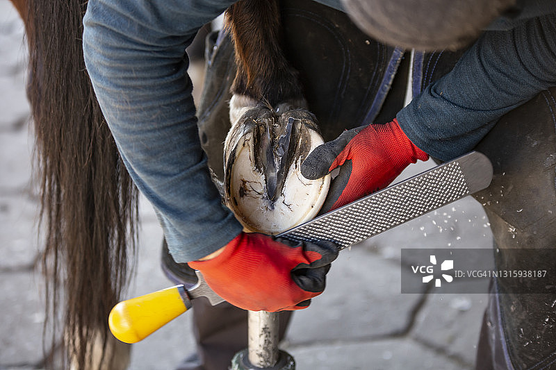 蹄修剪图片素材