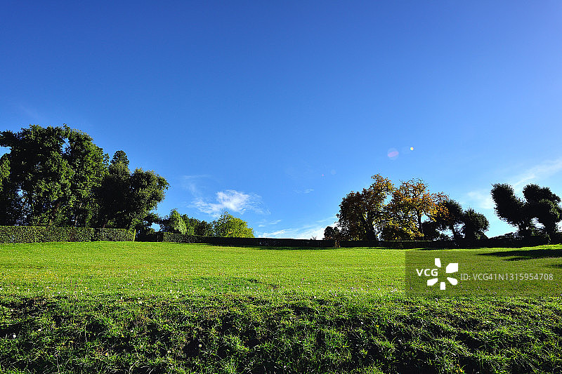 绿色草地图片素材