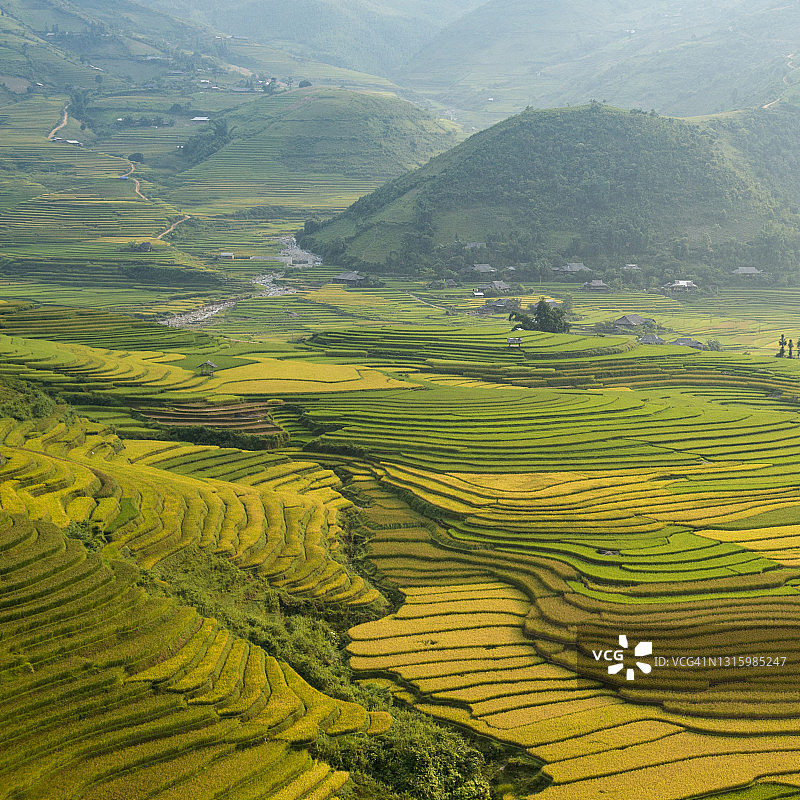 越南西北部梯田日落稻田风光图片素材
