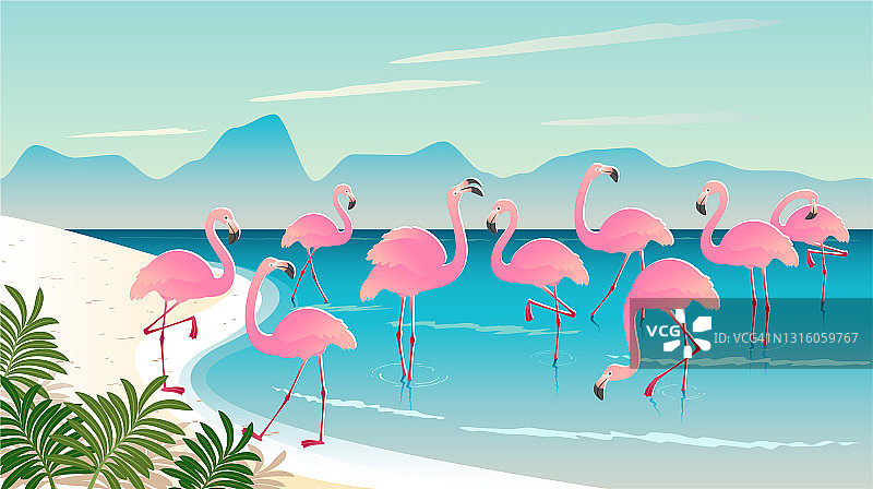 沙滩上的一群粉红火烈鸟图片素材