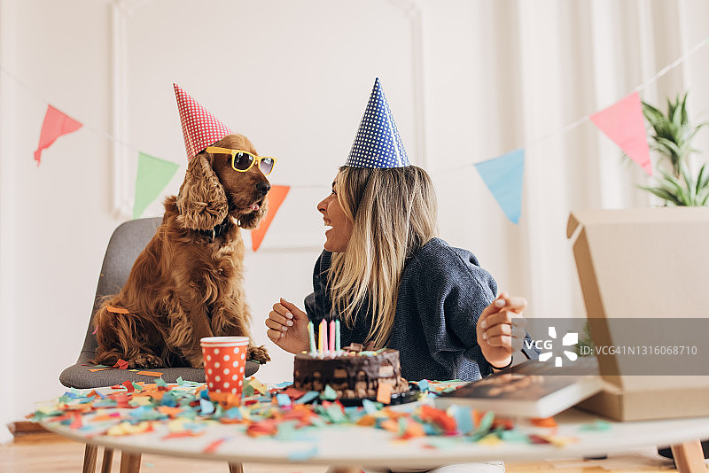 狗狗的生日庆祝图片素材