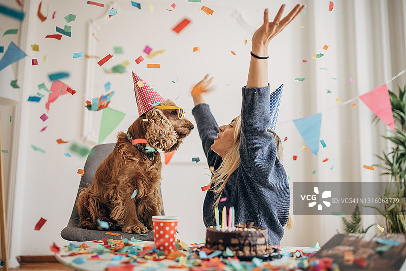 狗狗的生日庆祝图片素材