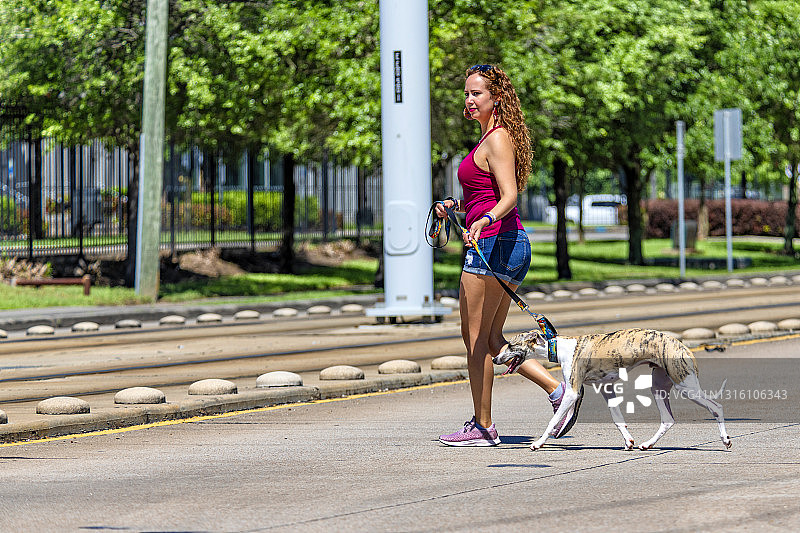 遛狗的拉丁裔女子图片素材