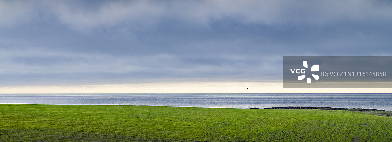 从翠绿山丘俯瞰太平洋图片素材