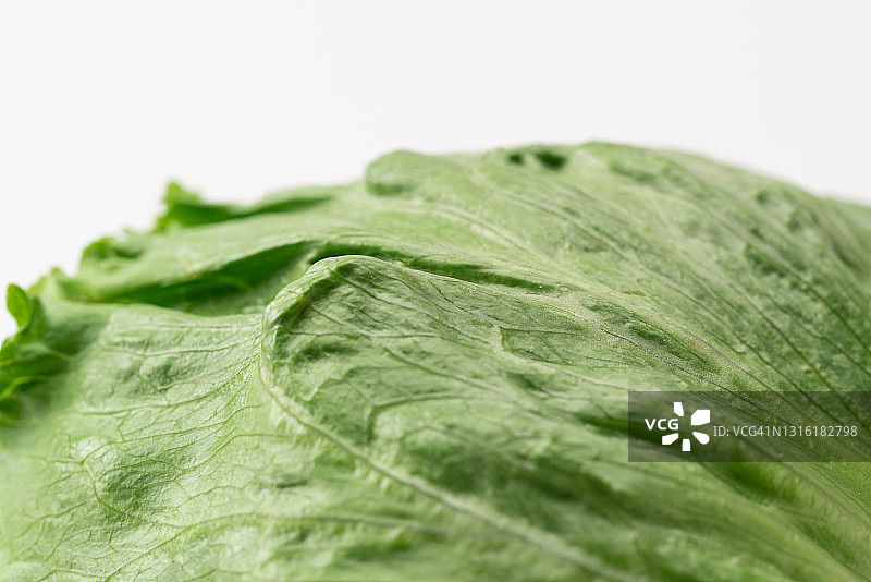 生菜图片素材