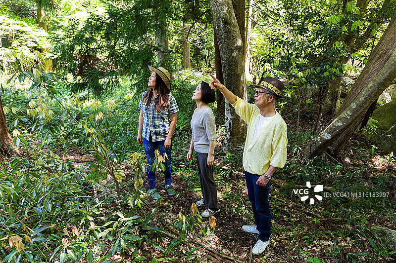年长的男人在森林中为女士们指出有趣的景物图片素材