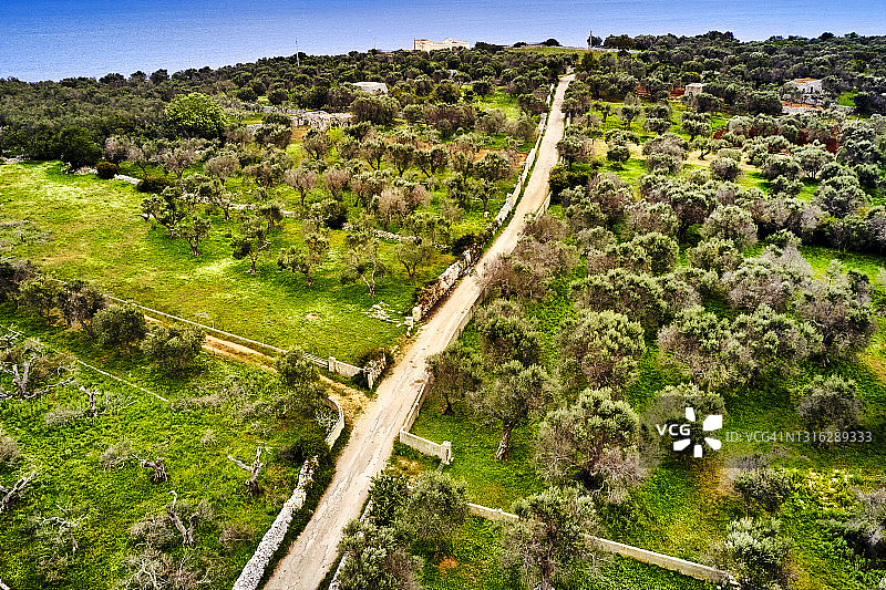 意大利普利亚萨伦托乡村的道路图片素材