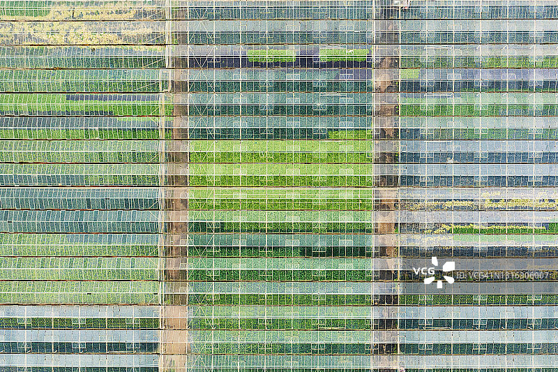 商业温室无人机航拍图片素材