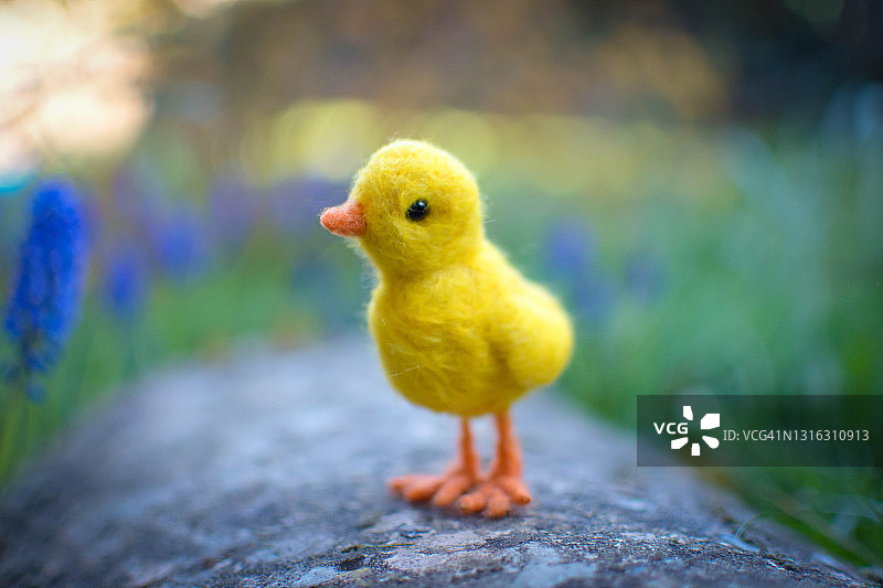 毛毡小鸡图片素材