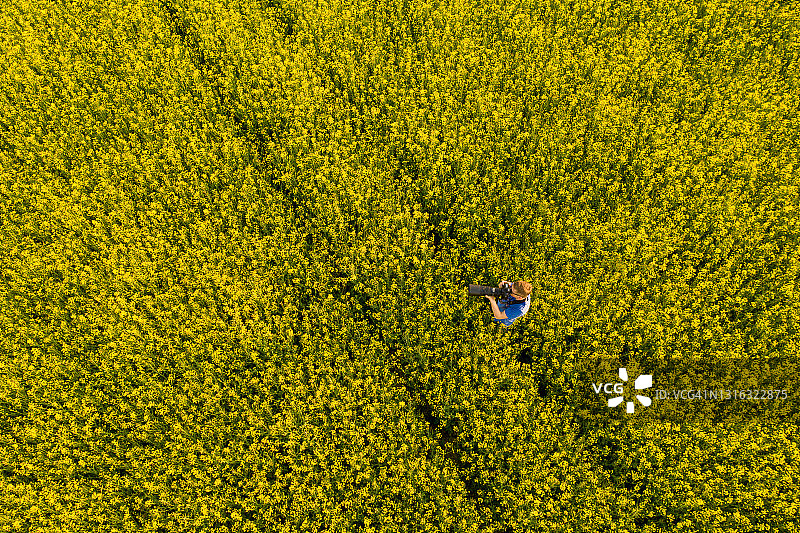 航拍：男子在油菜籽田中摄影图片素材