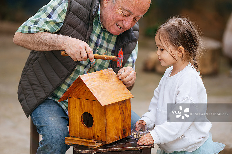 爷爷和孙女一起制作木制鸟舍图片素材