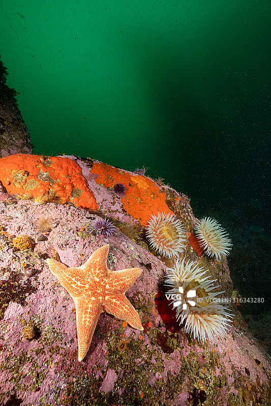 寒冷水域的暗礁图片素材