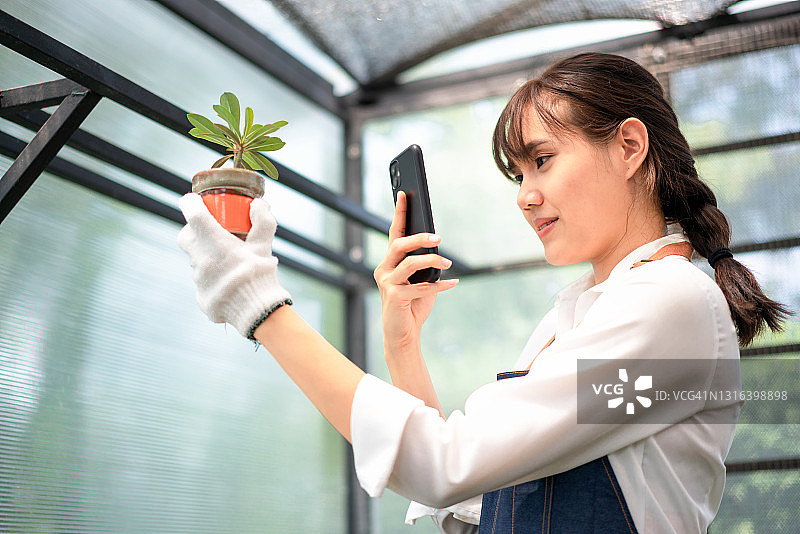 农民在仙人掌植物园工作图片素材