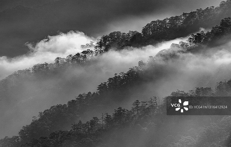 云雾缭绕的山谷层叠 - 黑白图像图片素材