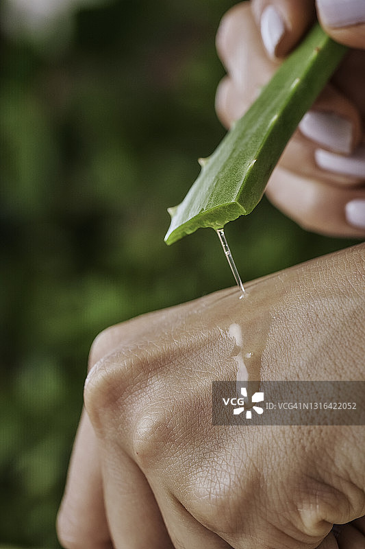 年轻女子用芦荟天然凝胶滋润双手图片素材