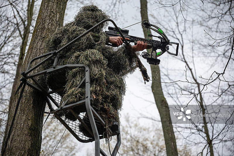 在树上狩猎图片素材
