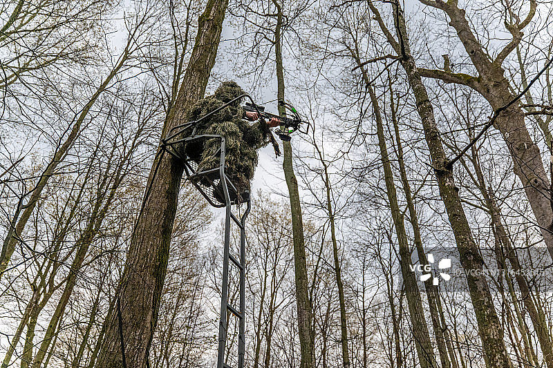 在树上狩猎图片素材
