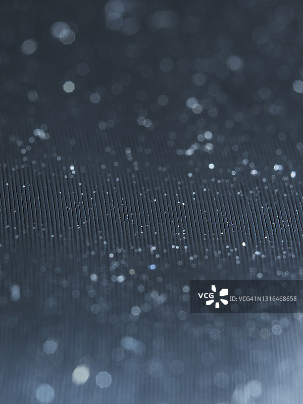 黑胶唱片上的微距灰尘照片图片素材