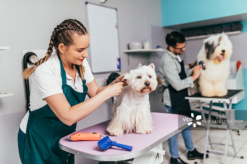 美容沙龙图片素材