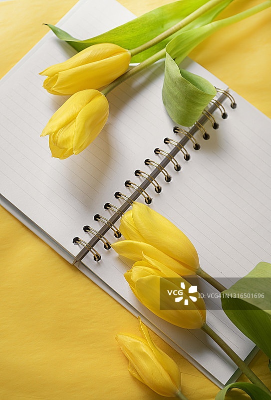 笔记本和郁金香图片素材
