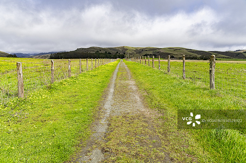 通往山坡的小路图片素材