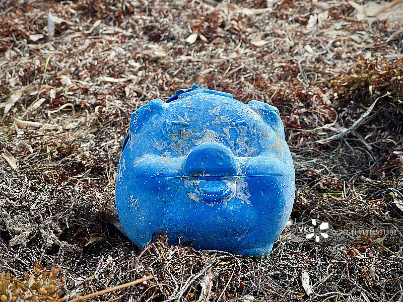 海滩上的塑料小猪图片素材