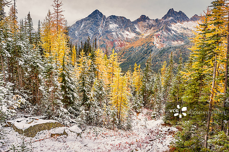 美国华盛顿州北喀斯喀特国家公园图片素材