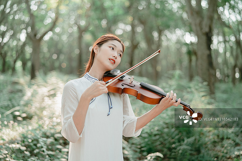 小提琴图片素材