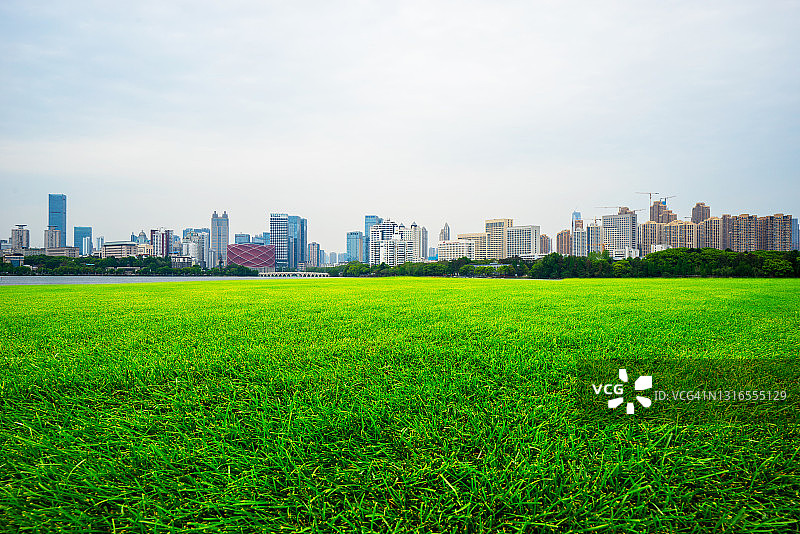 植物与城市图片素材
