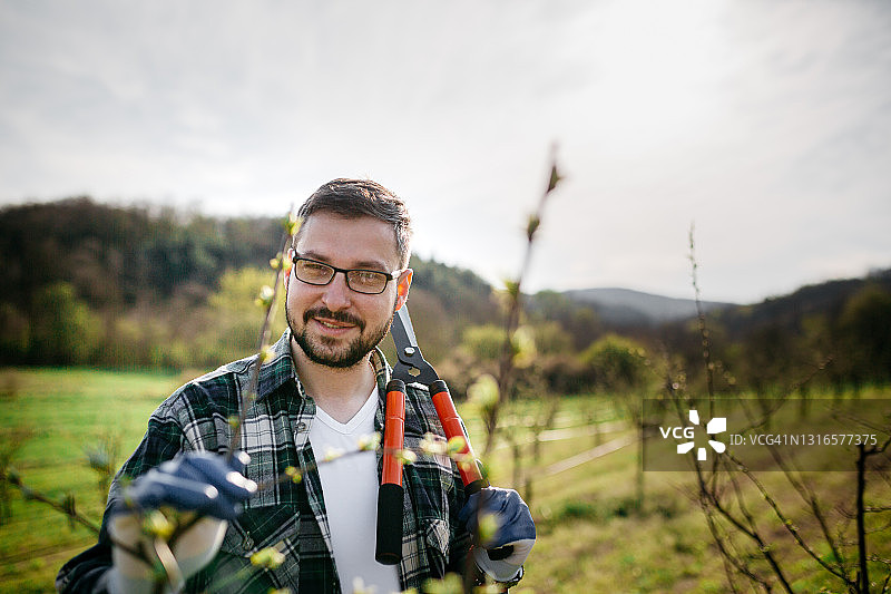 农民修剪树木图片素材