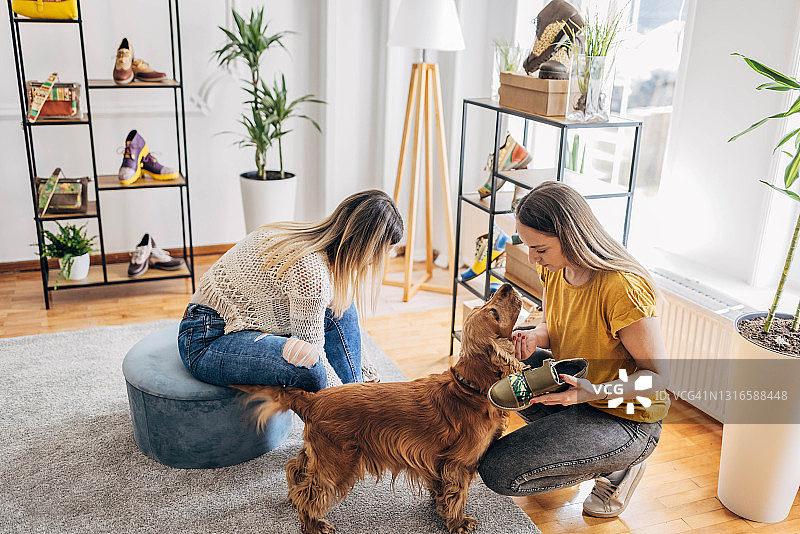 女人购买新鞋图片素材