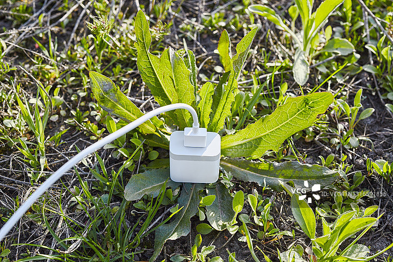 USB智能手机电池充电器从连接地面的自然草地中获取能量图片素材