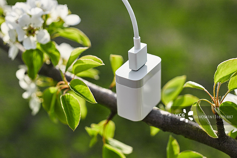 USB智能手机充电器从连接到开花春天树的自然中获取能量图片素材