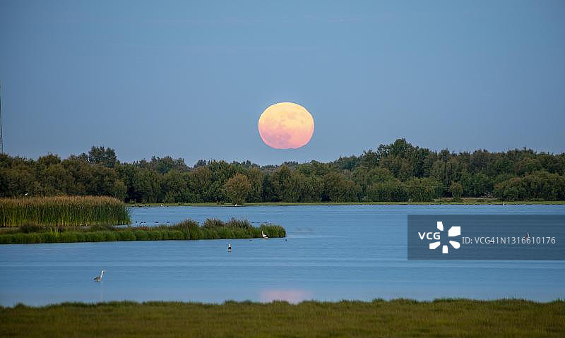 多尼亚纳国家公园湖面上的红色夕阳，西班牙韦尔瓦省图片素材