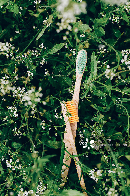 天然背景上的木制生态牙刷与草本植物图片素材