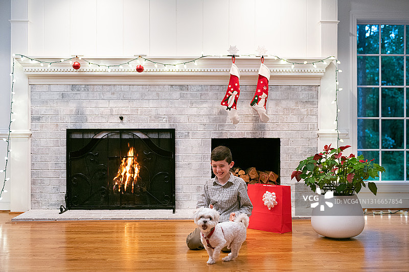 男孩在圣诞装饰的壁炉旁与狗玩耍图片素材