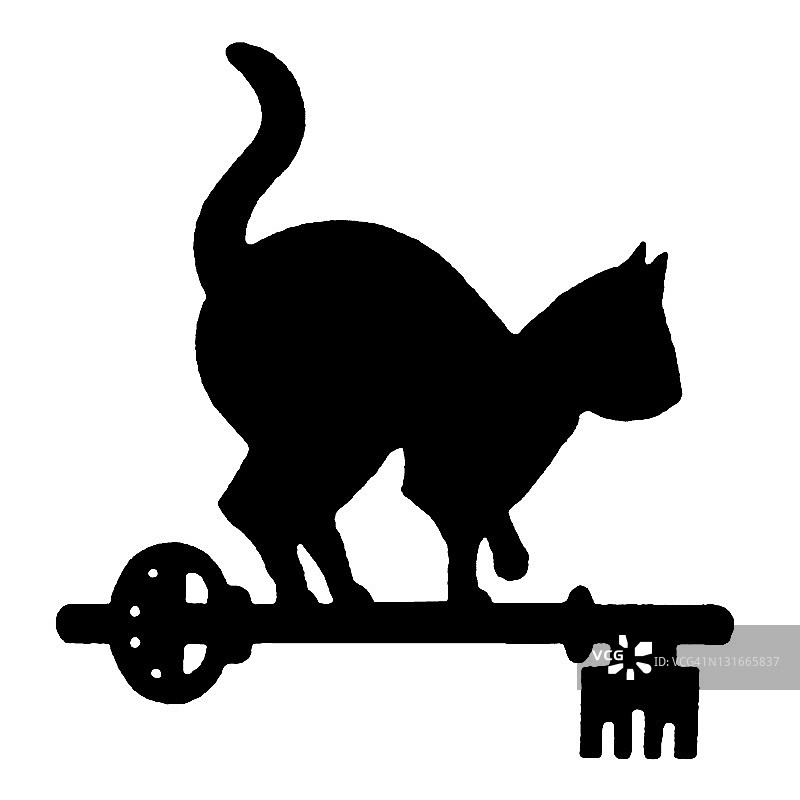 骷髅钥匙上的黑猫图片素材