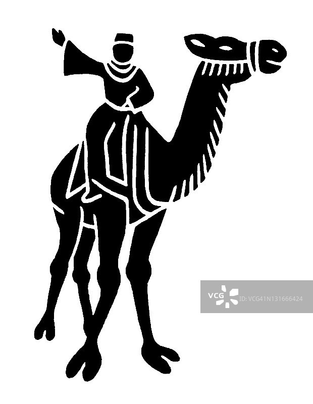 骑骆驼的女人图片素材